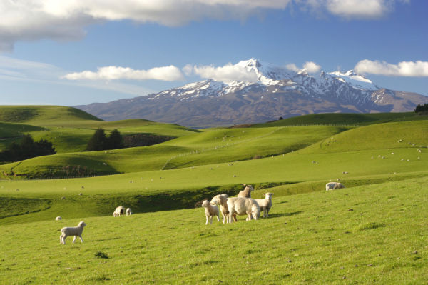 Photo de la nouvelle-Zélande