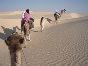 vacances toussaint TUNISIE