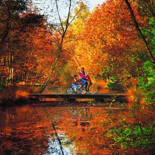 vélo automne