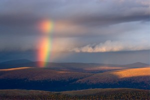 Le parc national finlandais de Urho Kaleva Kekkosen, séjour en Laponie