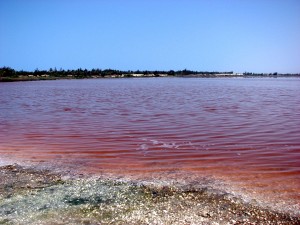 Lac rose Sénégal