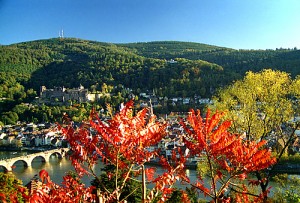 promenade le long du chemin des philosophes à heidelberg