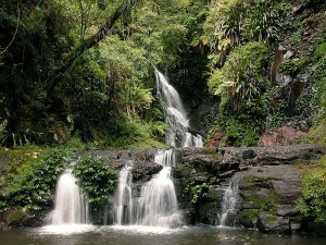 Parc national de Lamington