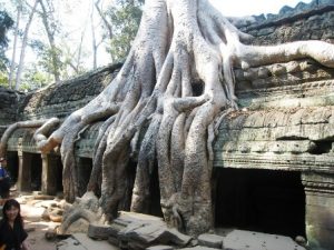 vacances-cambodge