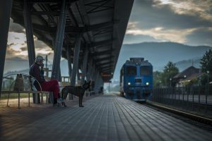 voyage-train-avec-chien