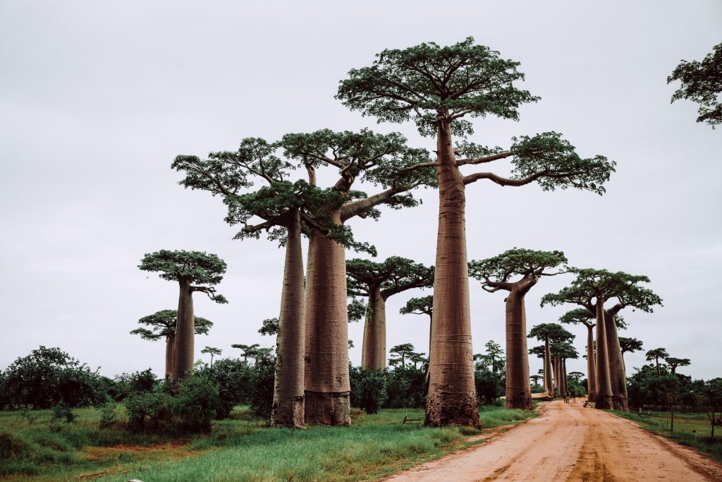 vacances-madagascar