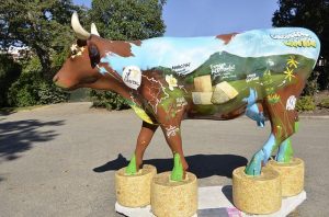 fromage-auvergne-séjour-vacances